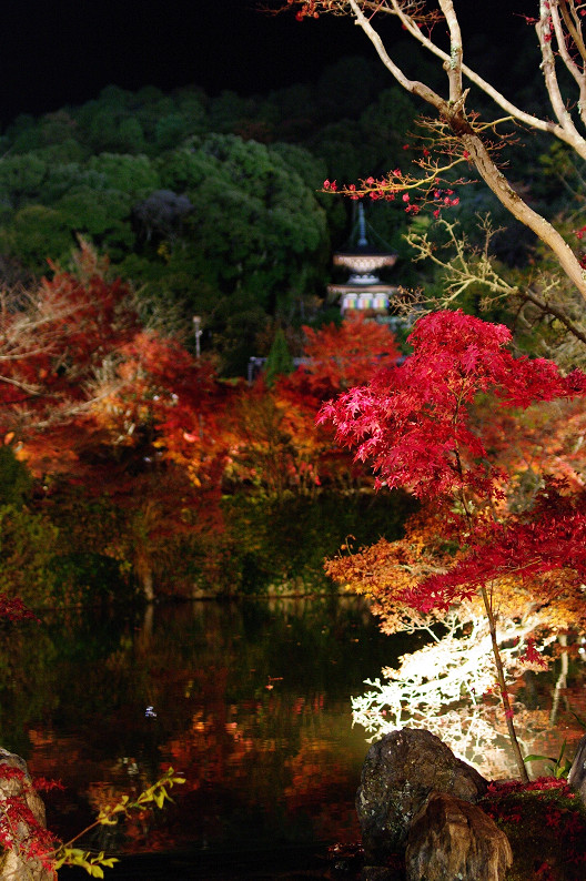 京都の紅葉2010　～永観堂～_f0152550_23505775.jpg