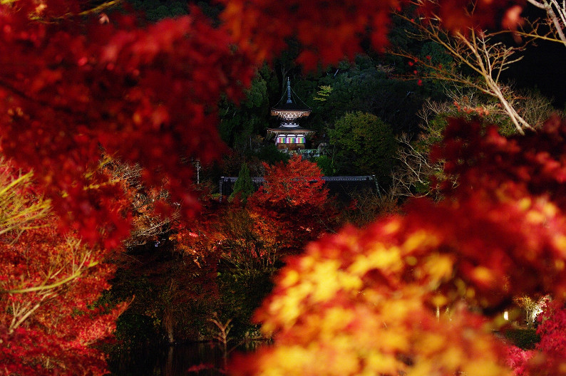 京都の紅葉2010　～永観堂～_f0152550_23511588.jpg