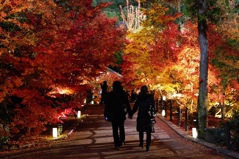 京都の紅葉2010　～永観堂～_f0152550_2351495.jpg