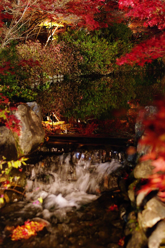 京都の紅葉2010　～永観堂～_f0152550_2351643.jpg