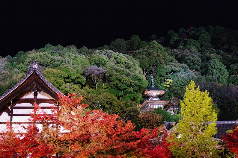 京都の紅葉2010　～永観堂～_f0152550_23525371.jpg