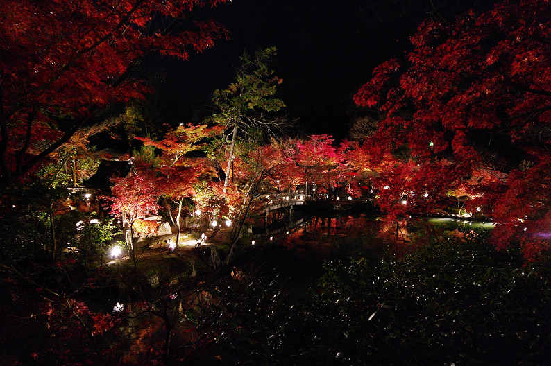 京都の紅葉2010　～永観堂～_f0152550_2353197.jpg