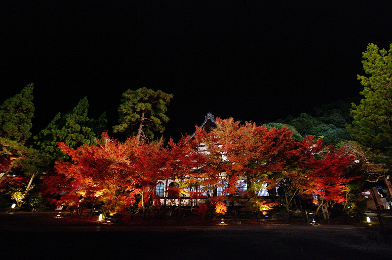 京都の紅葉2010　～永観堂～_f0152550_23534135.jpg