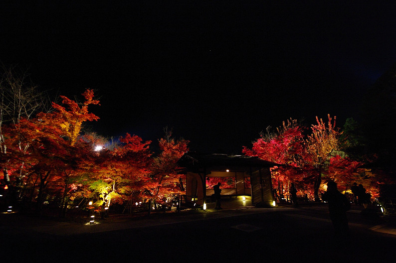 京都の紅葉2010　～永観堂～_f0152550_23534861.jpg