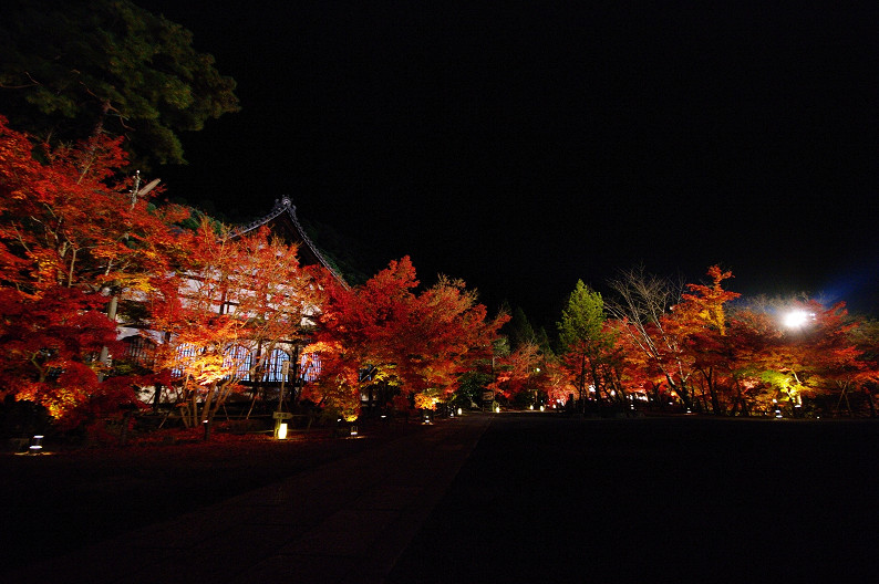 京都の紅葉2010　～永観堂～_f0152550_23535593.jpg