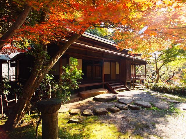 横浜紅葉　三渓園_f0112952_2202568.jpg