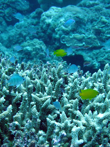 d0101062_6363877.jpg