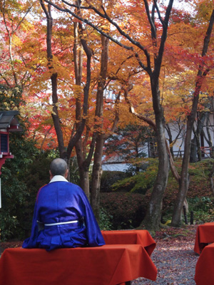 京都の紅葉 （常照寺）_b0112263_19345773.jpg