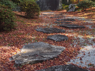 京都の紅葉 （常照寺）_b0112263_19364628.jpg