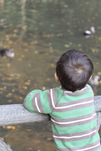 f0107364_23275678.gif