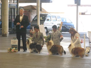 シェルティ部会展 in 平塚_f0126965_17403777.jpg