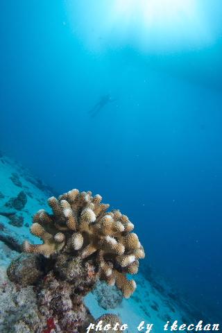 a0155467_8472836.jpg