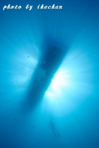 a0155467_8521470.jpg