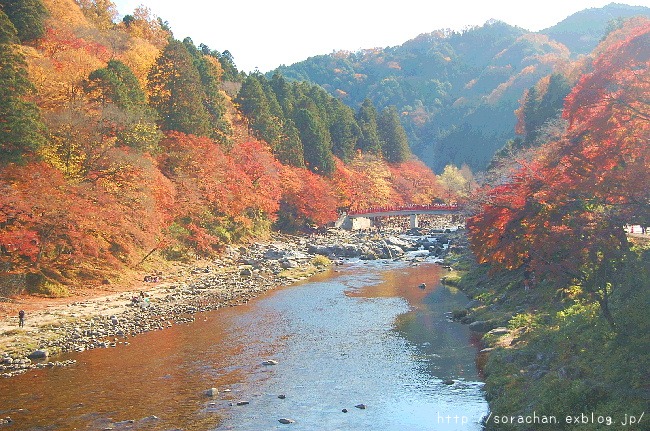 香嵐渓の紅葉①_d0172270_14375472.jpg