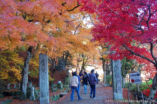 香嵐渓の紅葉①_d0172270_14392783.jpg