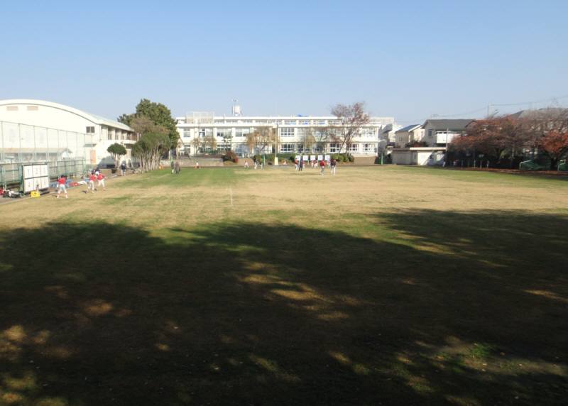 11月の校庭芝生 佐野いくおのブログ 11月の校庭芝生 佐野いくおのブログ
