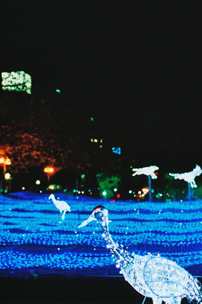 blue light river 2_e0199776_20225215.jpg