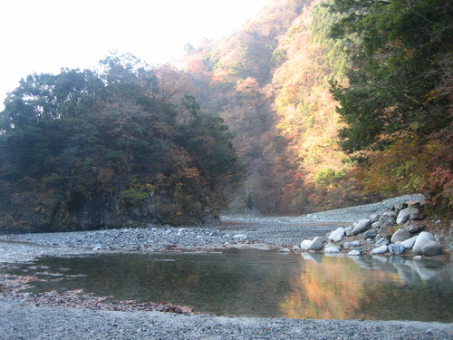a0094278_2233220.jpg