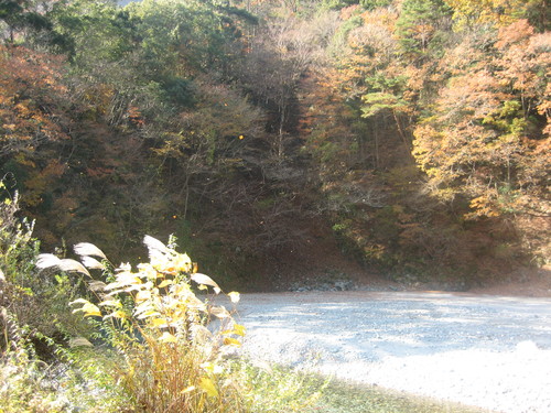 a0094278_22425632.jpg