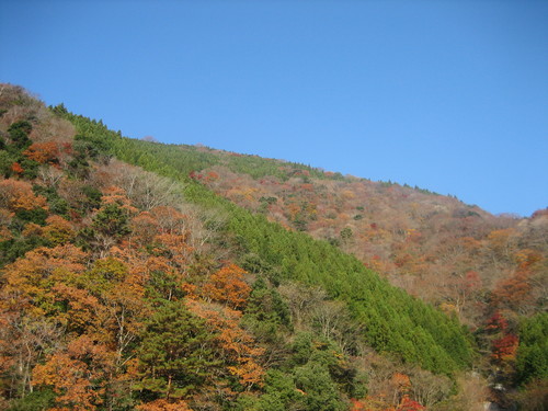 a0094278_2255268.jpg