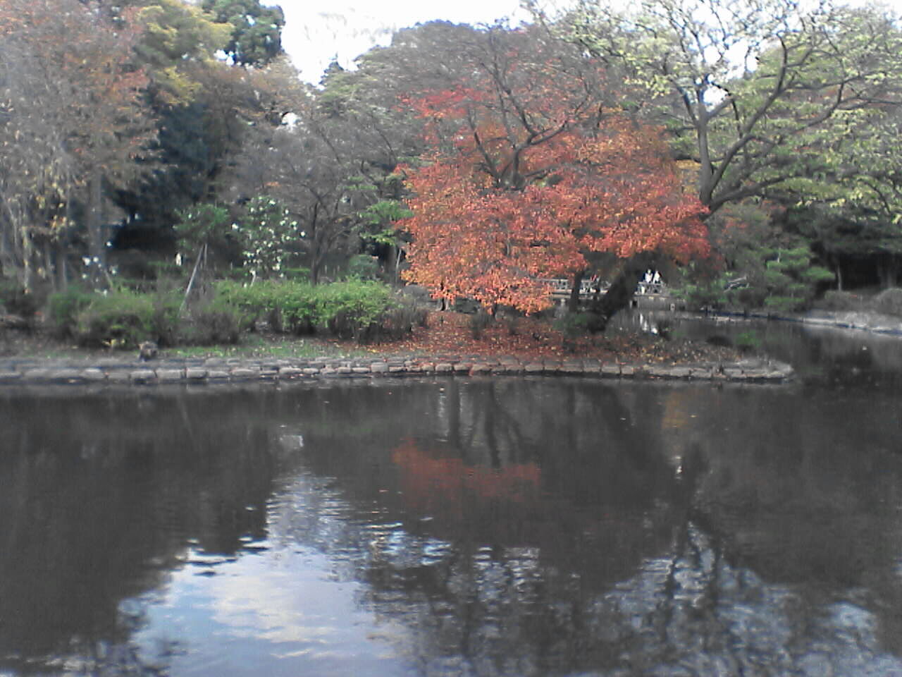 c0069380_17451364.jpg