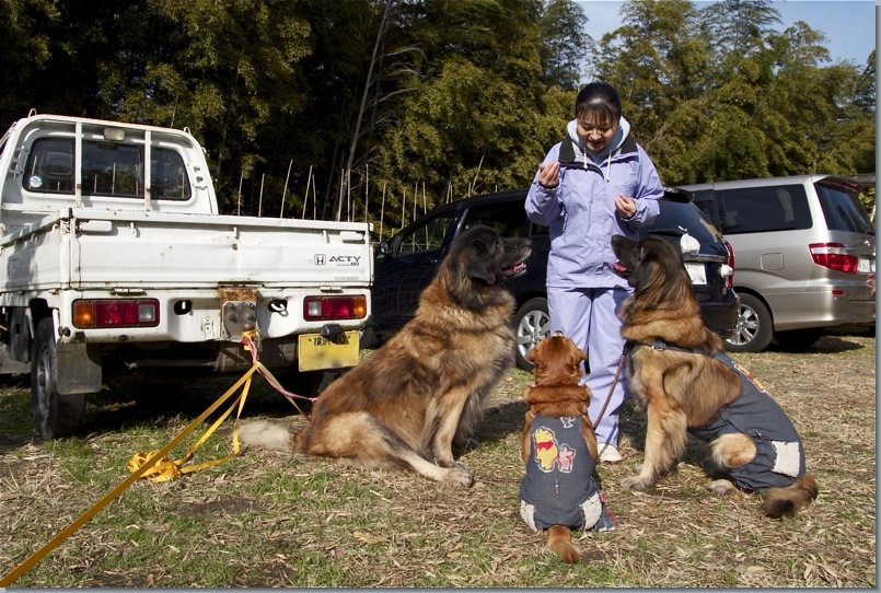 湘南犬街道？　（ストーリーファーム）_c0129381_954061.jpg