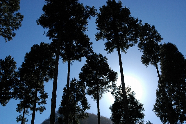 c0212083_1748957.jpg