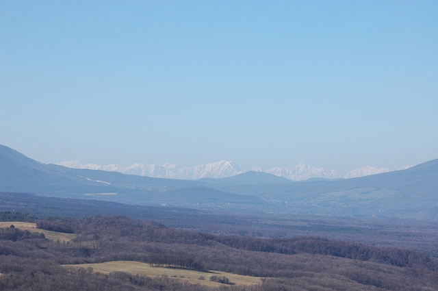 c0212083_17491496.jpg