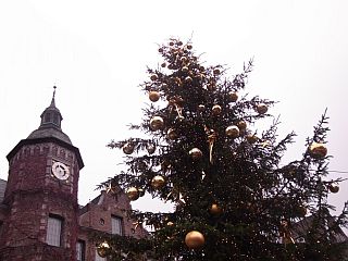 f0169885_40942.jpg