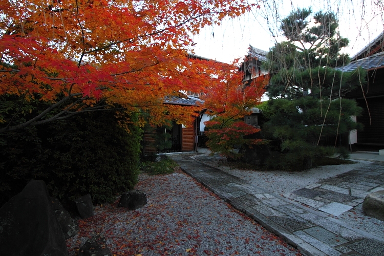 光明院(東福寺塔頭)_e0051888_2020340.jpg
