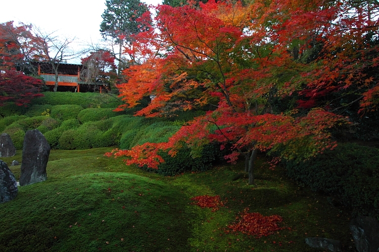 光明院(東福寺塔頭)_e0051888_20222661.jpg