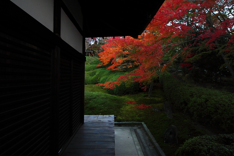 光明院(東福寺塔頭)_e0051888_20224186.jpg