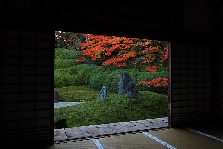 光明院(東福寺塔頭)_e0051888_2024092.jpg