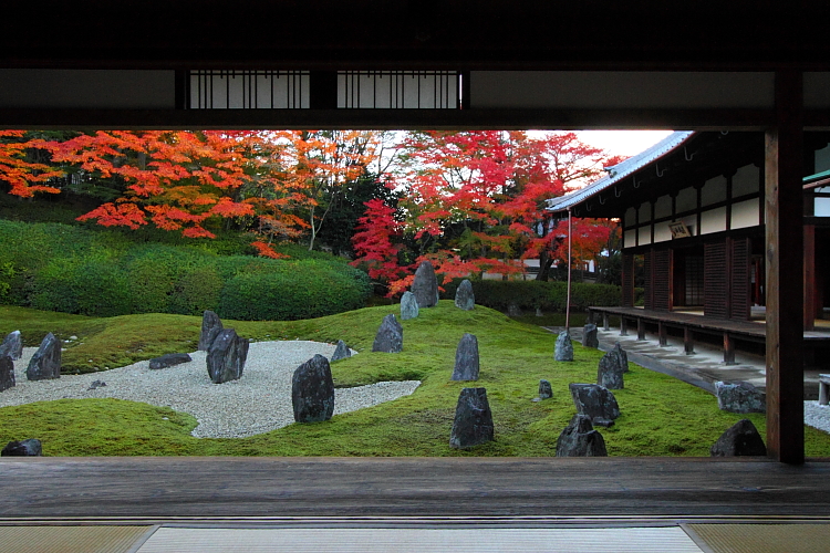 光明院(東福寺塔頭)_e0051888_20243084.jpg