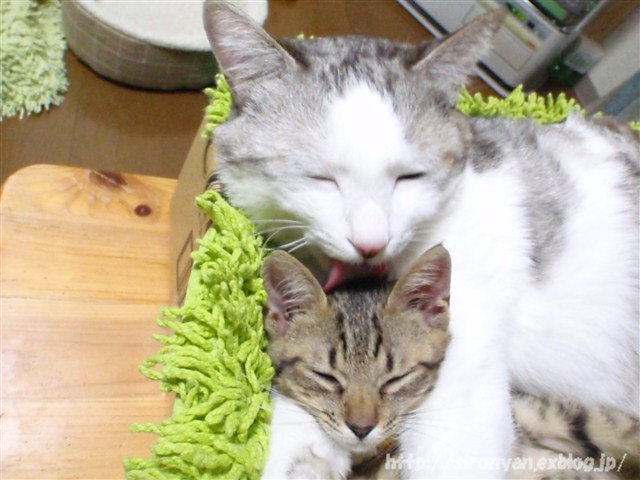 a0159490_1335422.jpg
