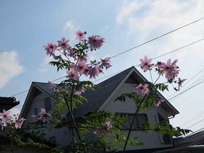 c0078592_23123572.jpg