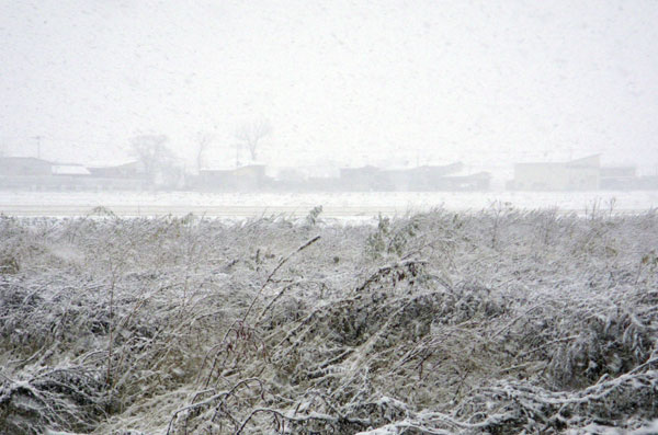 弘前の往復で初雪景色イロイロ＾＾_a0136293_1227852.jpg