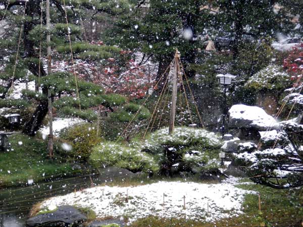 弘前の往復で初雪景色イロイロ＾＾_a0136293_12291659.jpg