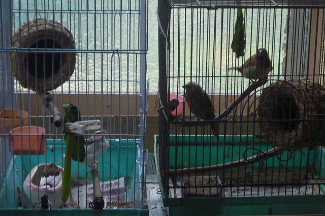 a0086994_1505628.jpg