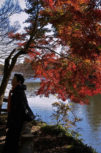 人それぞれ・・・秋の井の頭公園_d0069398_783090.jpg