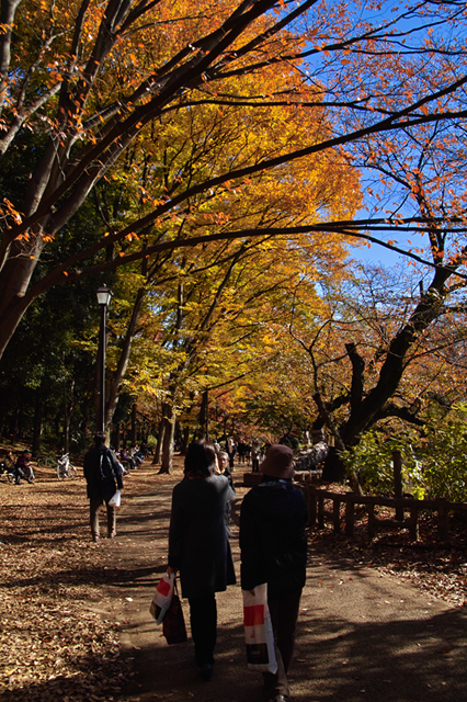 人それぞれ・・・秋の井の頭公園_d0069398_792370.jpg