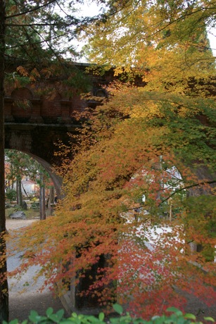 紅葉狩り in Kyoto　後編_c0095900_16441668.jpg