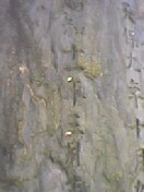 e0178600_21191568.jpg