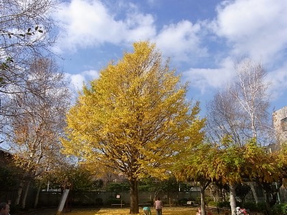 d0051601_22523813.jpg