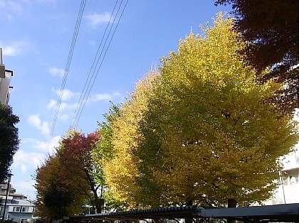 d0051601_2312526.jpg