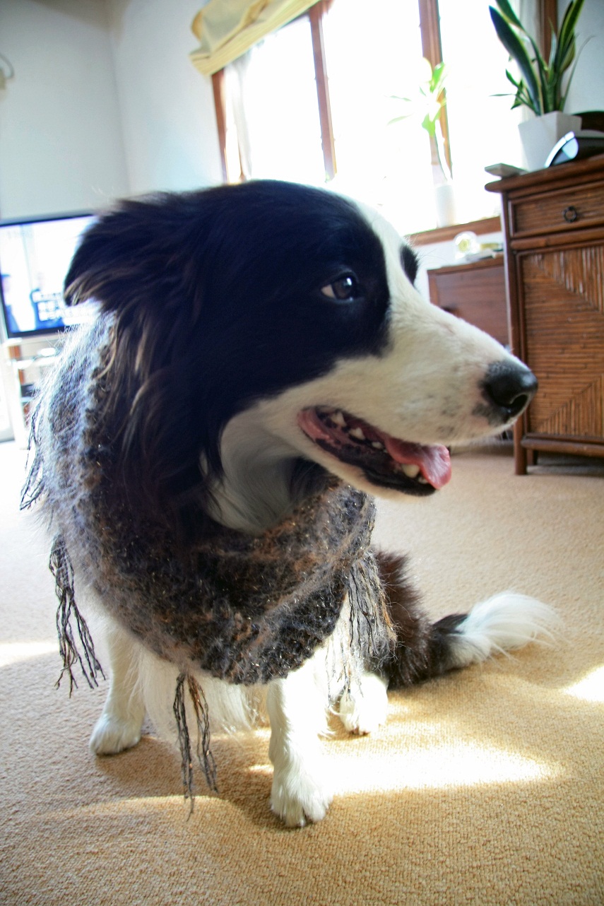f0034602_16574636.jpg
