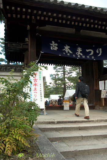c0218407_22482015.jpg
