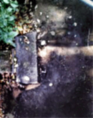 e0103408_13301686.gif