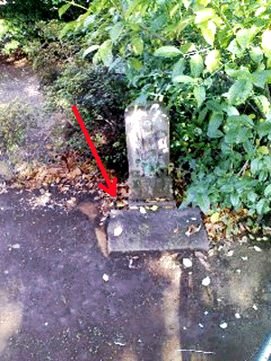 e0103408_13404672.gif