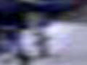 e0103408_8102173.gif